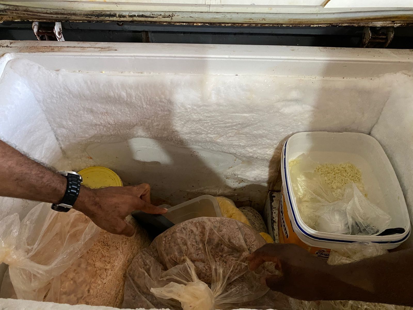 Fotos: Divulgação